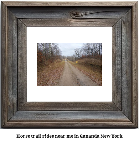 horse trail rides near me in Gananda, New York